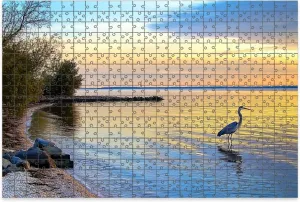 1000 Piece Jigsaw Puzzle Game, Colorful Great Blue Heron Chesapeake Bay Beach Sunset Large Puzzle Artwork for Adults Teens Challenging Puzzle Game Nights Toy Gift
