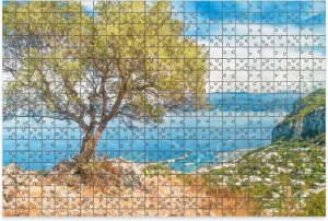 1000 Piece Jigsaw Puzzle Game, Colorful Old Olive Tree Marina Large Puzzle Artwork for Adults Teens Challenging Puzzle Game Nights Toy Gift