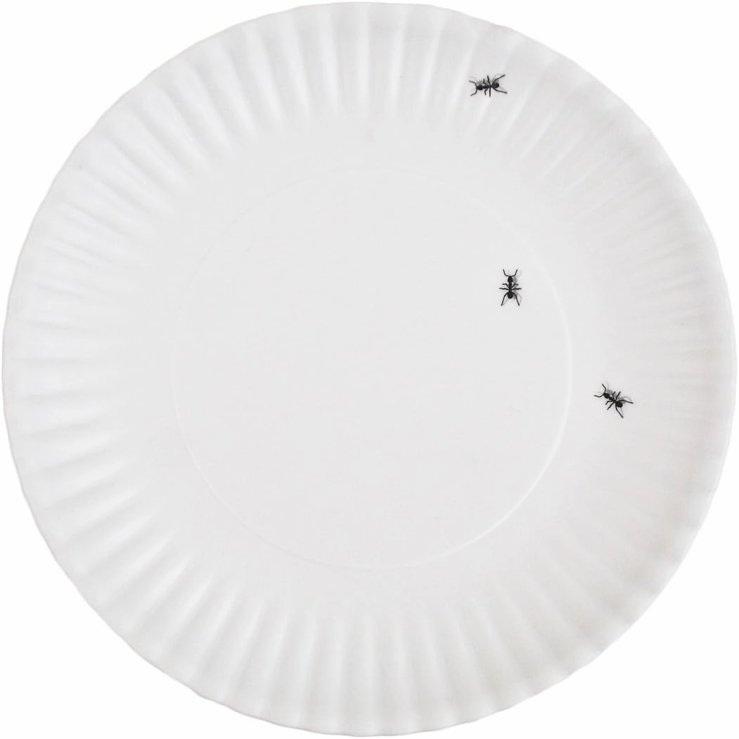 180 Degrees ME0036 What is It Reusable Dinner Plate with Ant Design, 9 Inch Melamine, Set of 4, 9", white, black