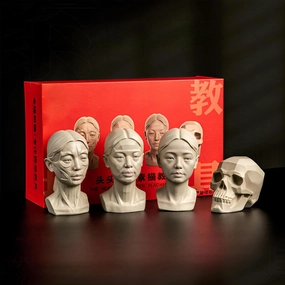 4Pack Standard Planar Head, Model for Artists Learn Planes of Face, Human Manikin Head for Medical and Artistic Drawing Sketching Painting, Color White (Middle Aged Female)