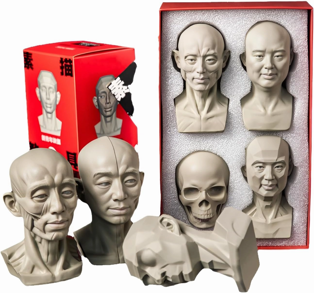 4Pack Standard Planar Head, Model for Artists Learn Planes of Face, Human Manikin Head for Medical and Artistic Drawing Sketching Painting, Color White (Middle Aged Female)