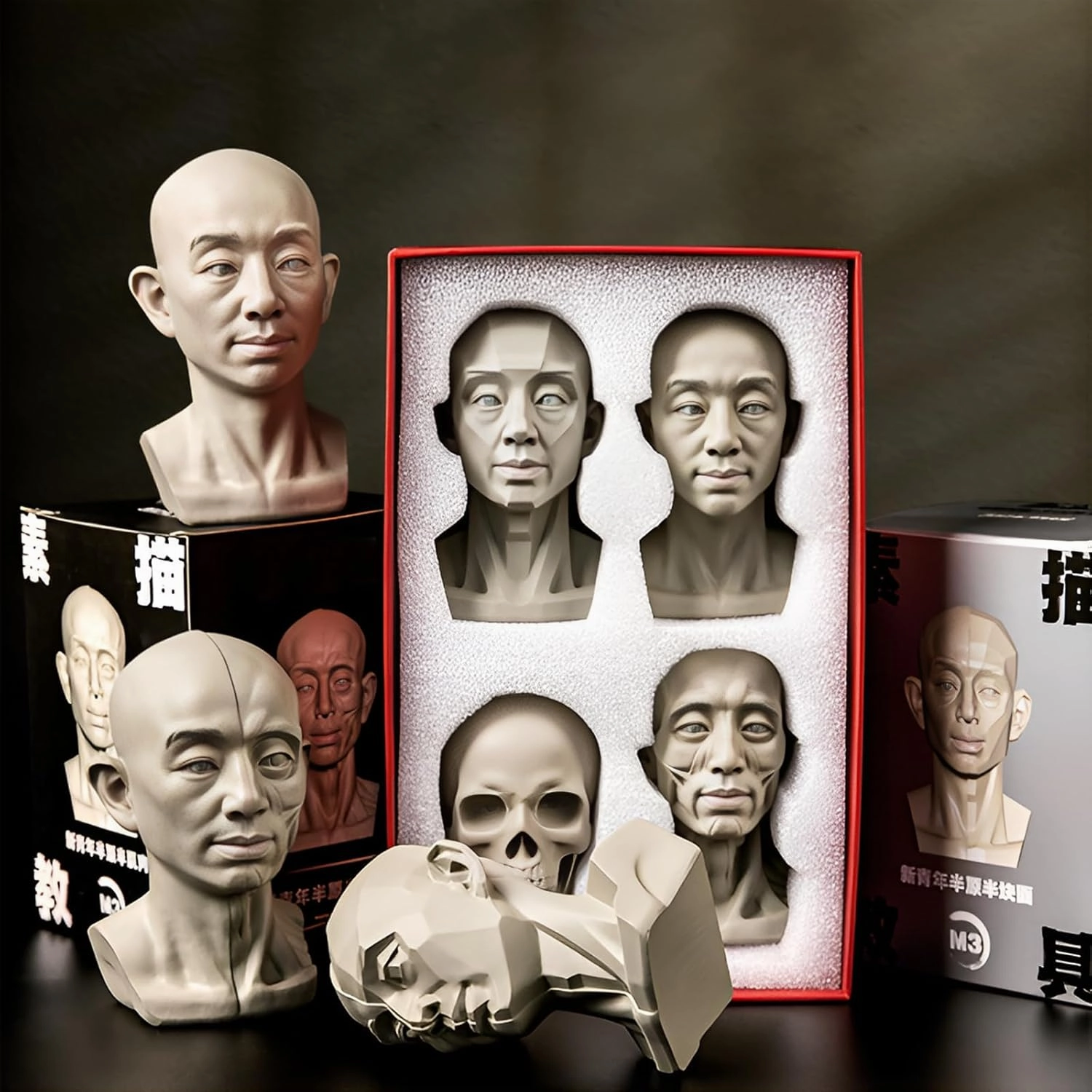 4Pack Standard Planar Head, Model for Artists Learn Planes of Face, Human Manikin Head for Medical and Artistic Drawing Sketching Painting, Color White (Middle Aged Female)