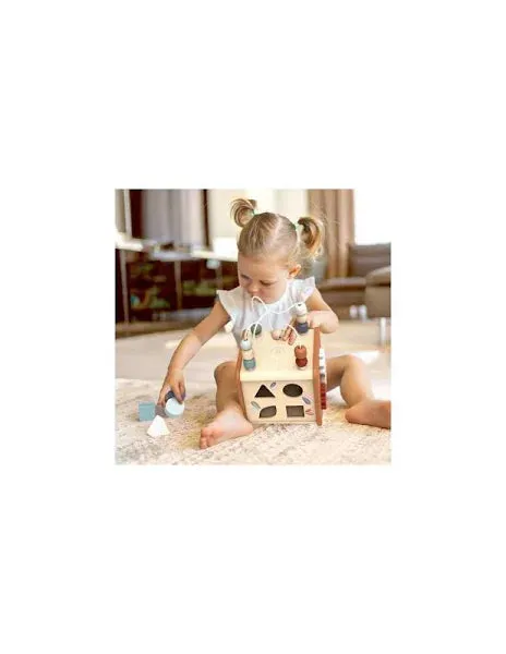 5 in 1 Activity Cube