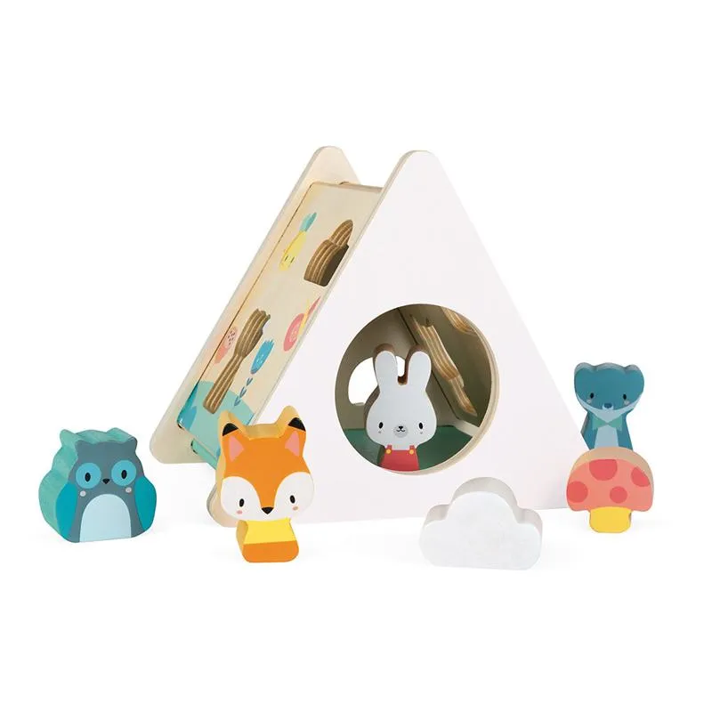 Activity & Educational Toys | Pure Shape Sorter | Shape Sorters