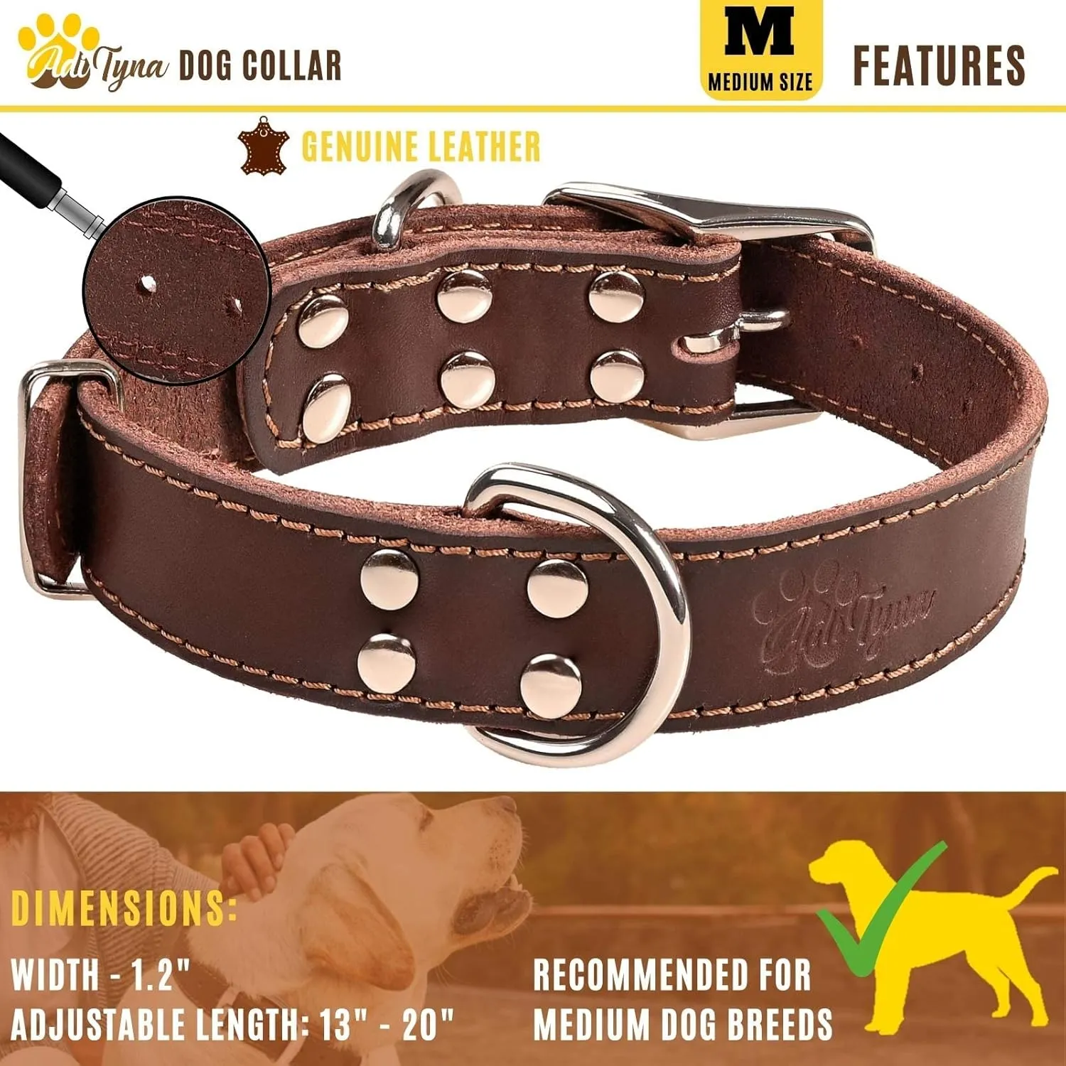 ADITYNA Heavy Duty Leather Dog Collar for Medium Dogs - Soft and Strong Collar for Walking, Training, Hiking, and Running (Medium: Fit 13" - 20" Neck, Brown)