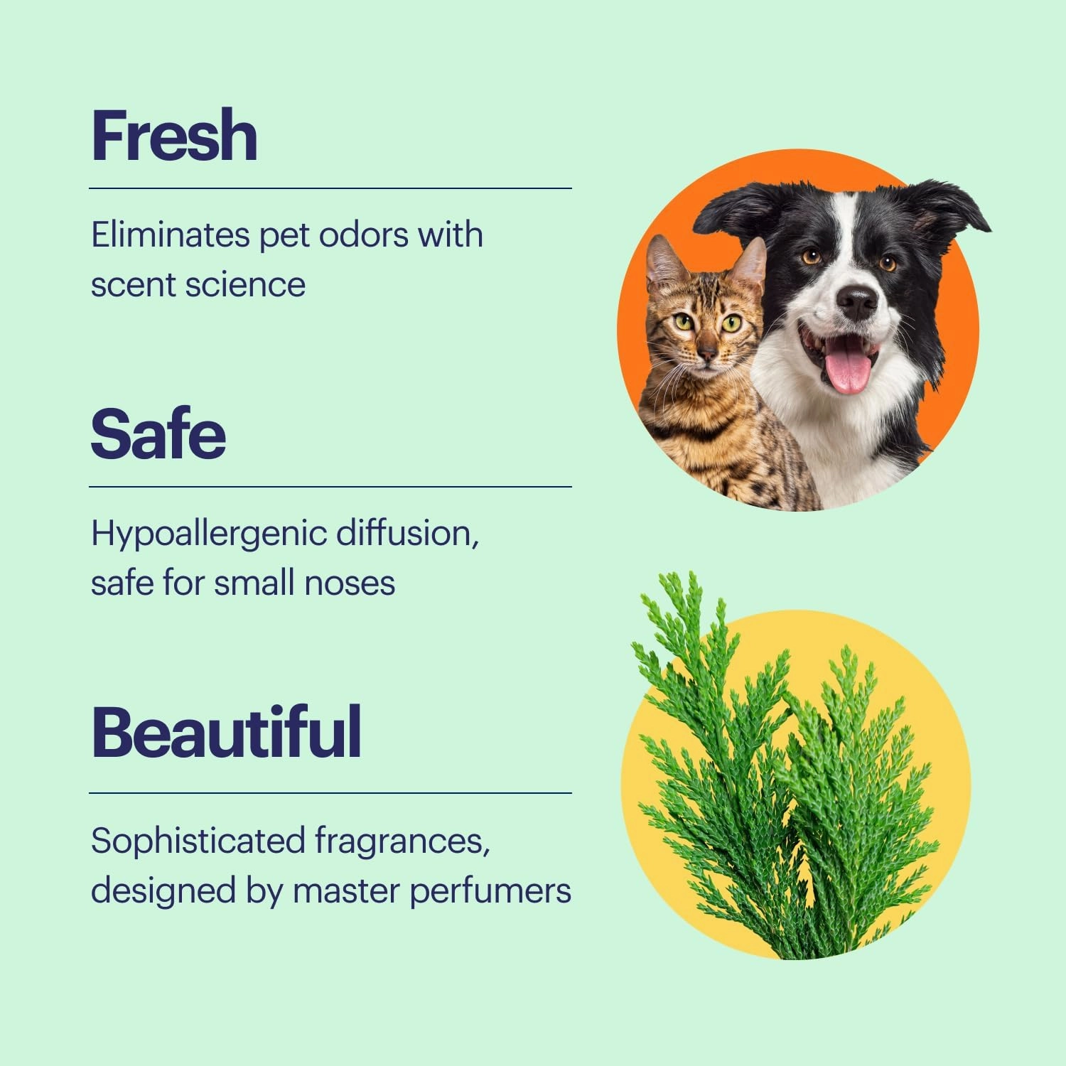 Aera True Loves Alpine Cedar – Deodorizing Home Fragrance Scent Refill for Pet Odor – Notes of Juniper, Cedarwood & Jasmine – Compatible With Aera Smart Diffuser – 25mL