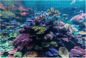 Amazing vibrant coral reef aquarium with 1000 Piece Jigsaw Puzzle Game - Colorful Large Puzzles Artwork for Adults Teens Puzzle Game Toy Gift