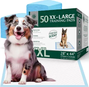 American Kennel Club Scented Puppy Pads – XXL & XXL  Sizes – 28x44 Ultra Absorbent 6-Layer Pee Pads with Odor Control & Quick-Dry Gel – Fresh Scent – 50 Count