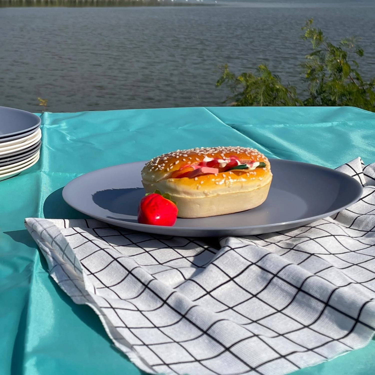 AOYITE Plastic Dinner Plates Reusable, Unbreakable Salad Plates set of 12, BPA Free Microwave & Dishwasher Safe Party Plate for Any Occasion, BBQ, Travel, Events