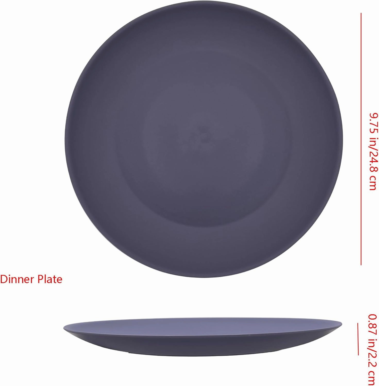 AOYITE Plastic Dinner Plates Reusable, Unbreakable Salad Plates set of 12, BPA Free Microwave & Dishwasher Safe Party Plate for Any Occasion, BBQ, Travel, Events
