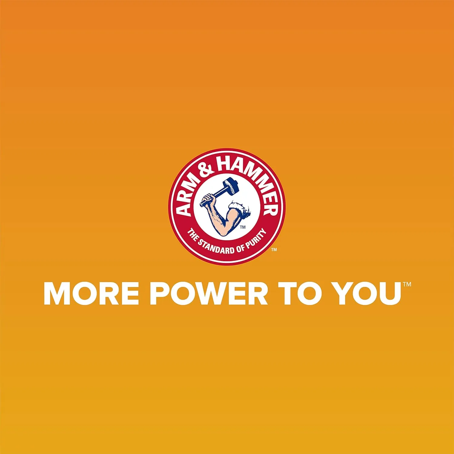 Arm & Hammer Rimmed Cat Litter Box with High Sides and Microban, Made in USA