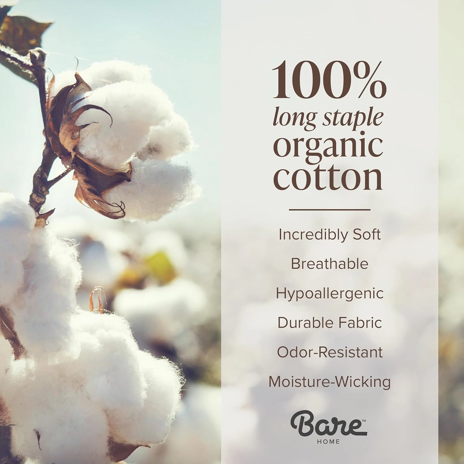 Bare Home 100% Organic Cotton Sateen Pillowcase Set - King Size - Smooth Sateen Weave - Pillowcases - Envelope Closure - Warm & Luxurious (King Pillowcase Set of 2, White)