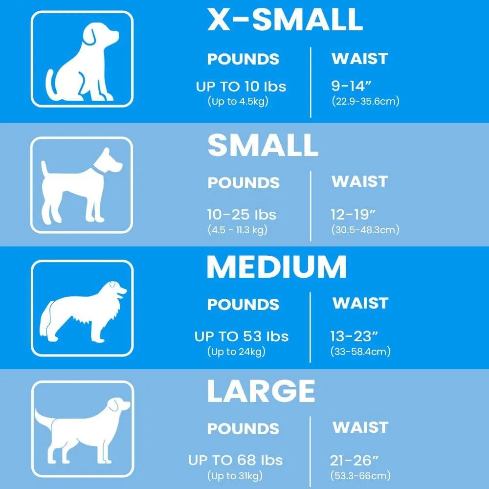 BV Dog Diapers Male Small (Waist 12-19in) Super Absorbent - 50 Count Disposable - Doggie Diapers with Wetness Indicator - Adjustable Male Dog Wraps - Ideal for Incontinence/Training