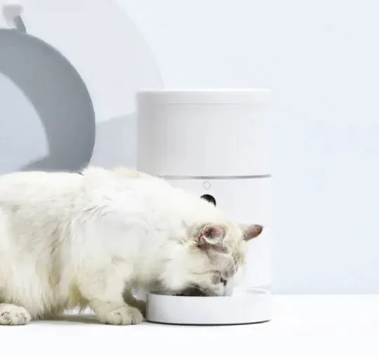Cat Feeder With Camera