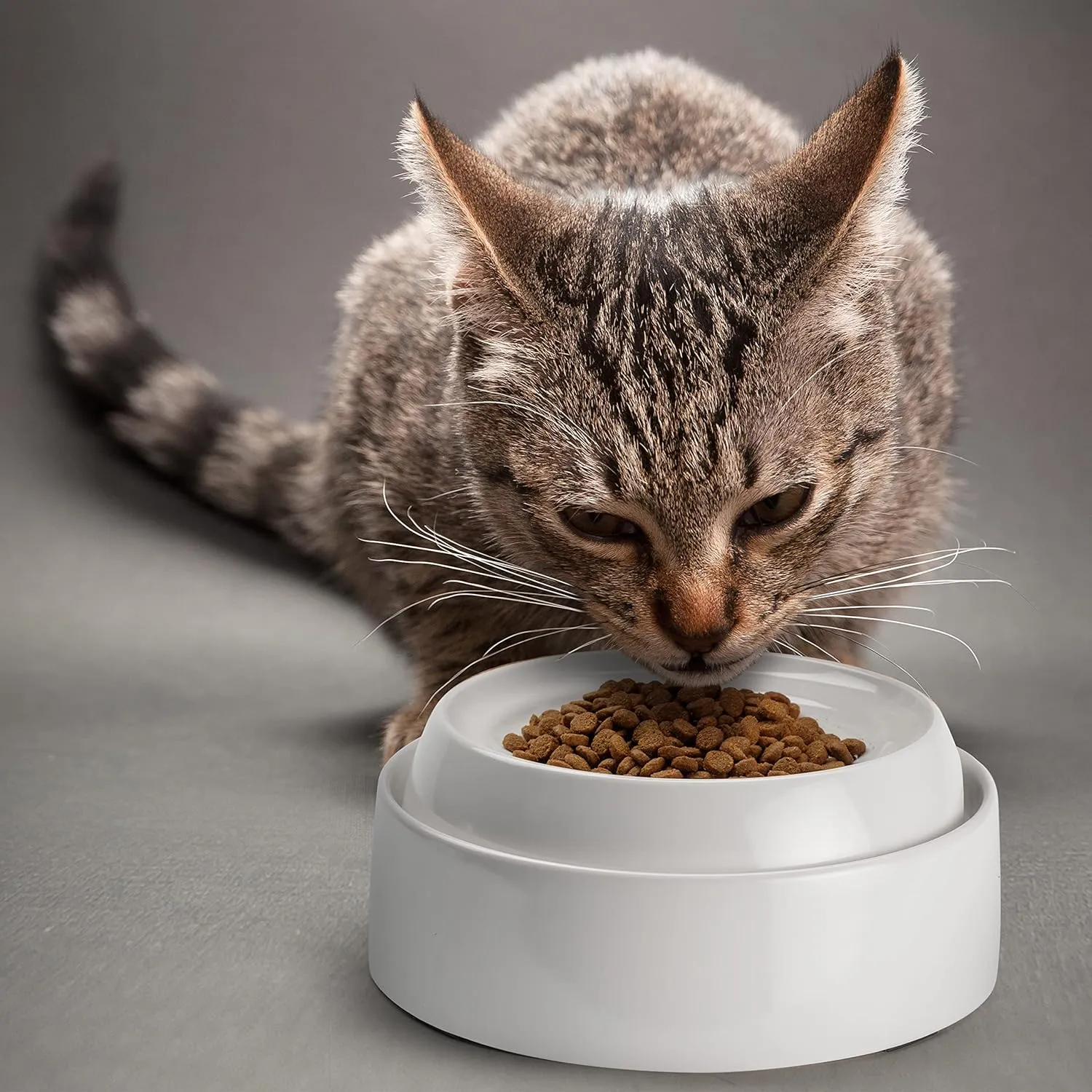 CatGuru Cat Bowls, Whisker Friendly Cat Food Bowl for Indoor Cats, Reliefs Whisker Fatigue, Wide Pet Bowl, Non Slip Pet Feeding Bowls, Shallow Kitten Dish (Set of 2, Ceramic, White)