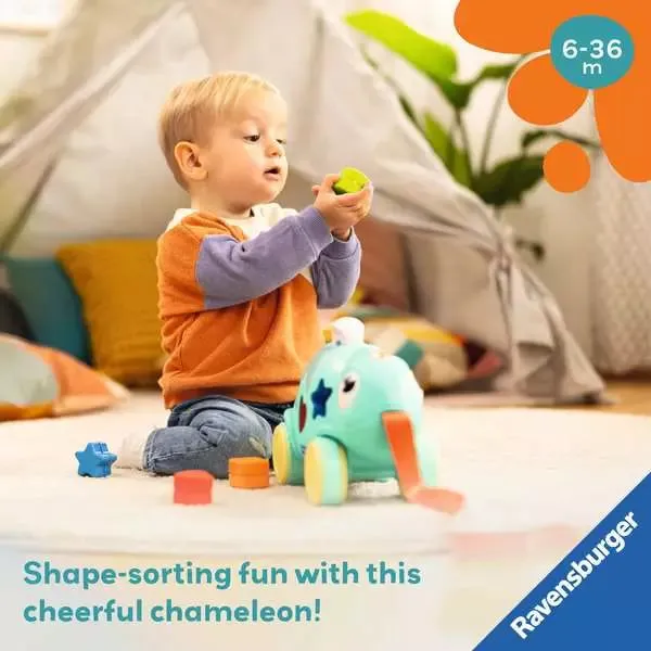 Color and Shape Sorter Chameleon
