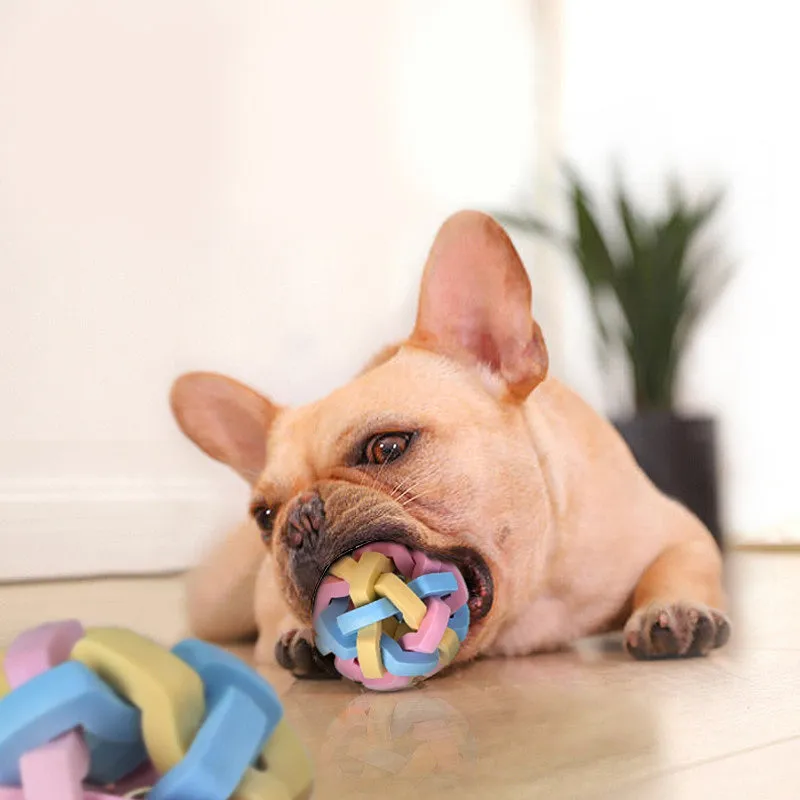 Colorful Dog Ball Chew Toy