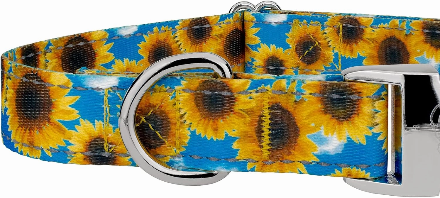 Country Brook Petz - Premium Sunflowers Reflective Dog Collar Collection Featuring Night Safe Designs (1 Inch, Large)