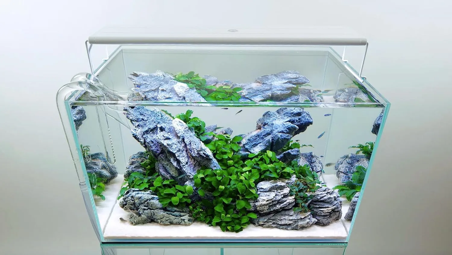 CURRENT USA 18-24" Inch White Full Spectrum Freshwater LED Aquarium Plant Light 10 15 20 25 Gallon | Satellite Plus RGB  for Aquariums | Wireless 24 Hour Timer Remote Fish Tank Planted Lighting (4320)