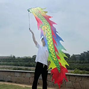 Dragon Poi Long Dance Dragon Poi Ribbon, Small Size Fitness Shaking Dragon Ribbon with Weighted Ball ＆ Dragon Body, Colorful Dragon Streamer (Size : 2 m (6.5 ft)), YYLWL0424