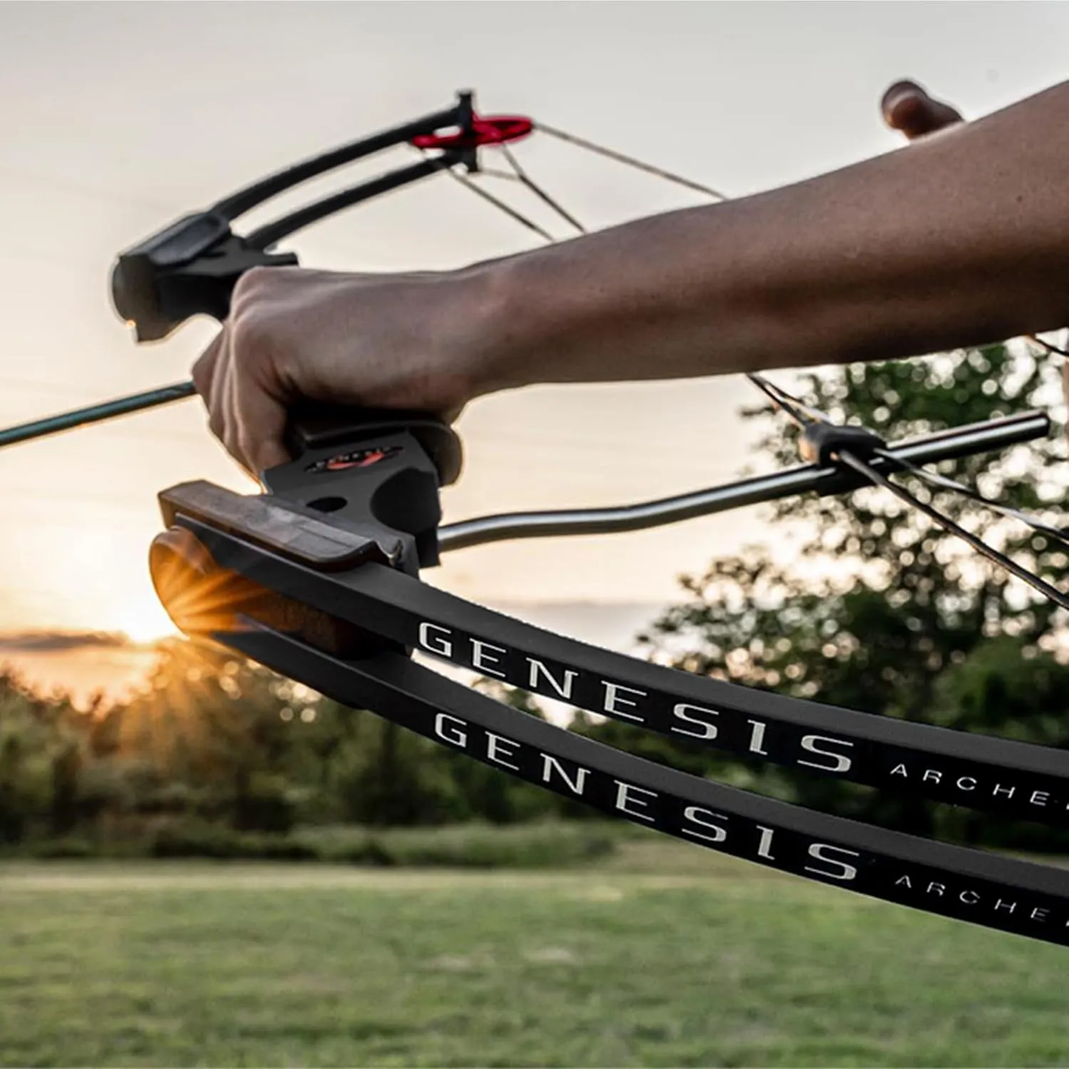 Genesis Original Bow, Lightweight Archery Compound Bow, Left and Right Hand Options