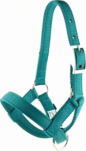 Goat Halter, S M L, XL, XL Buck, Made in USA, 23 Colors, Figure 8, Small, Medium, Large, Extra Large, Sheep Buck doe Kid Livestock (Royal Blue, Medium)
