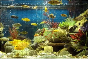 Image of marine effect tropical aquarium with malawi cichlid fish 1000 Piece Jigsaw Puzzle Game - Colorful Large Puzzles Artwork for Adults Teens Puzzle Game Toy Gift