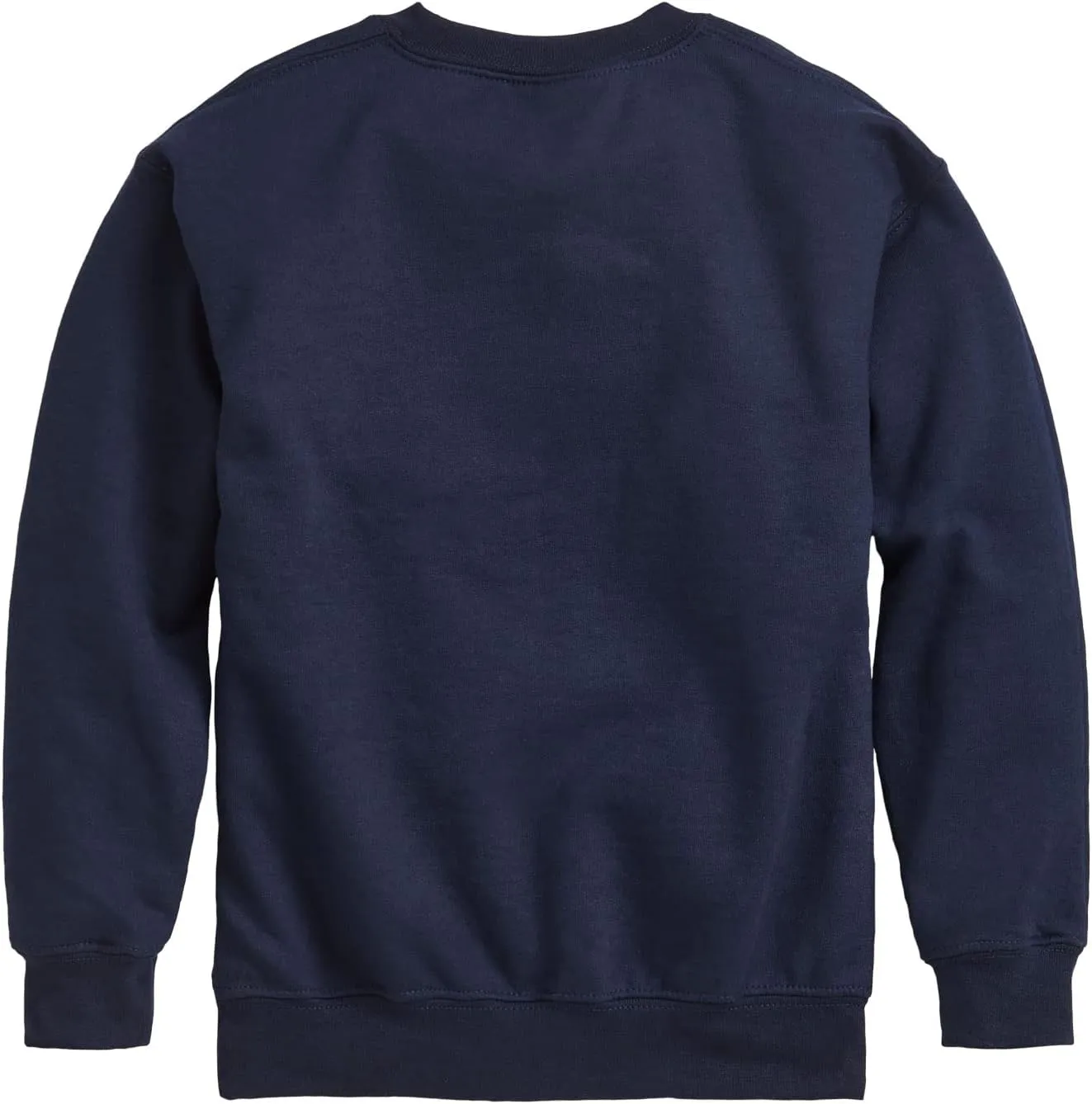 Instant Message - Dinosaur - Friends Come in Every Shape & Size - Toddler & Youth Crewneck Fleece Sweatshirt