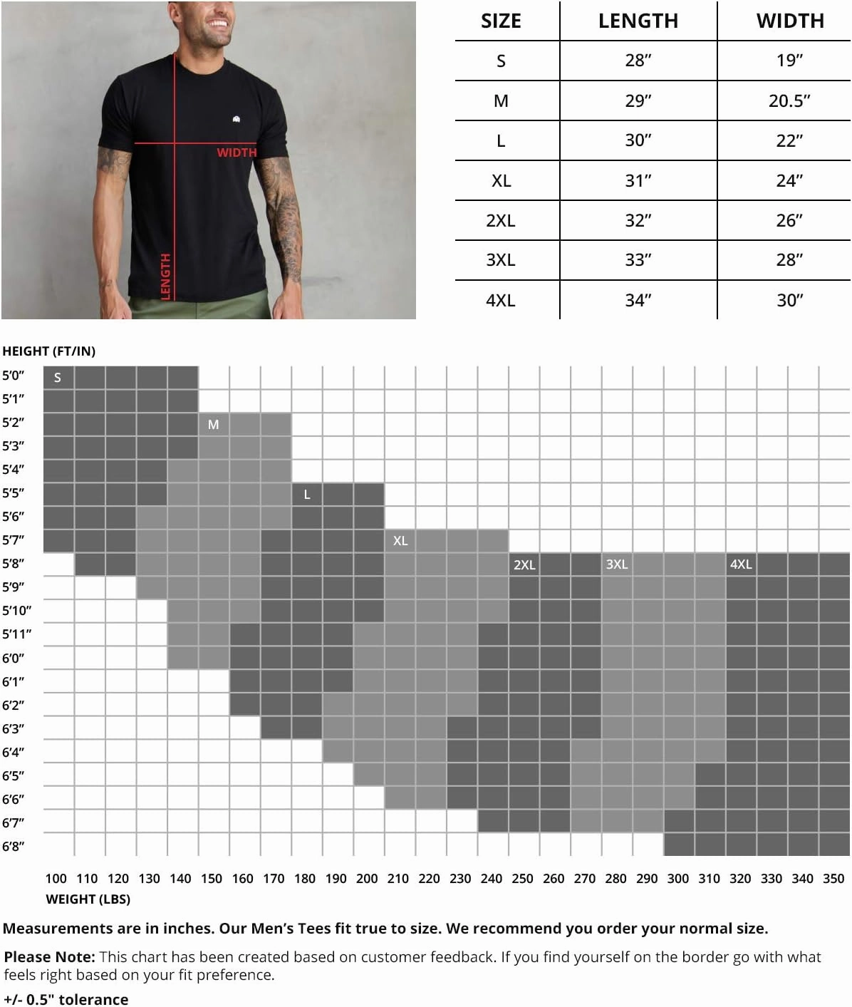 INTO THE AM Mens T Shirt with Logo - Short Sleeve Crew Neck Soft Fitted Tees S - 4XL Fresh Classic Basic Tshirts
