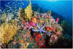 Jigsaw Puzzles 500 Pieces for Adults Kids - Tropical fish swimming around a healthy colorful coral reef Large Puzzles Pieces Fit Together Educational Intellectual Fun Game