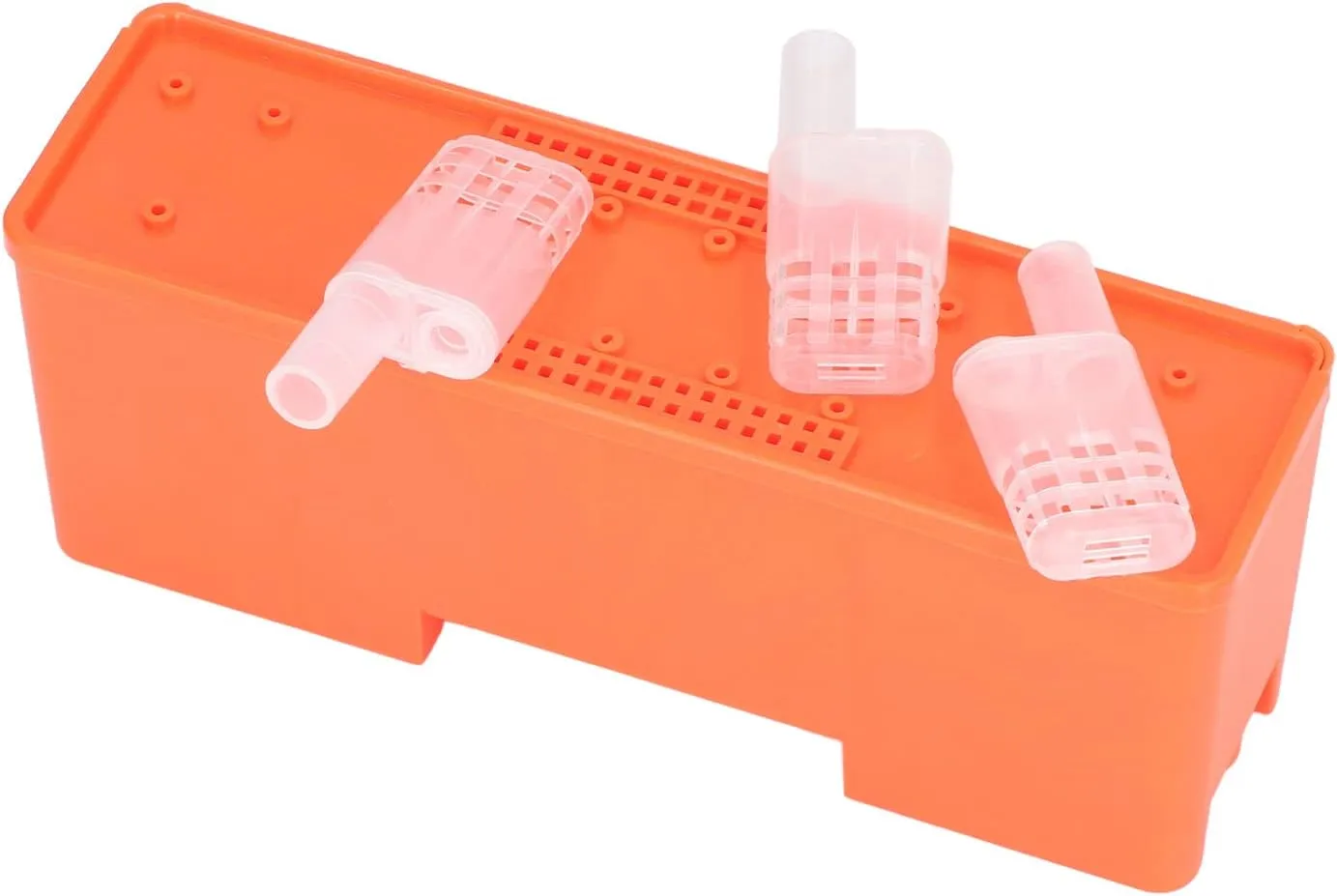 King Cage Transport Box, Queen Bee Cage Secure Transportation Lightweight for Apiculture