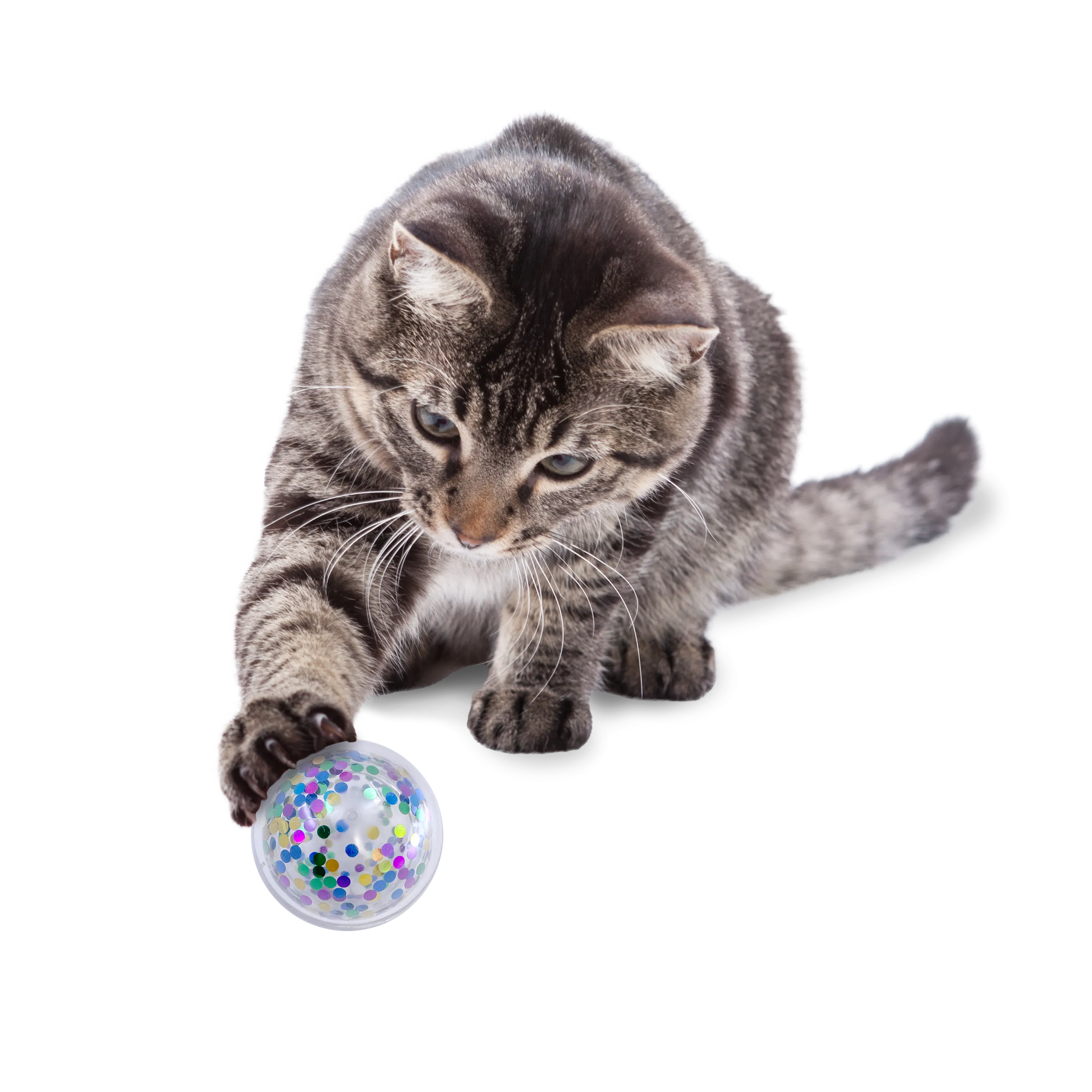 Kong Cat Active Confetti Ball