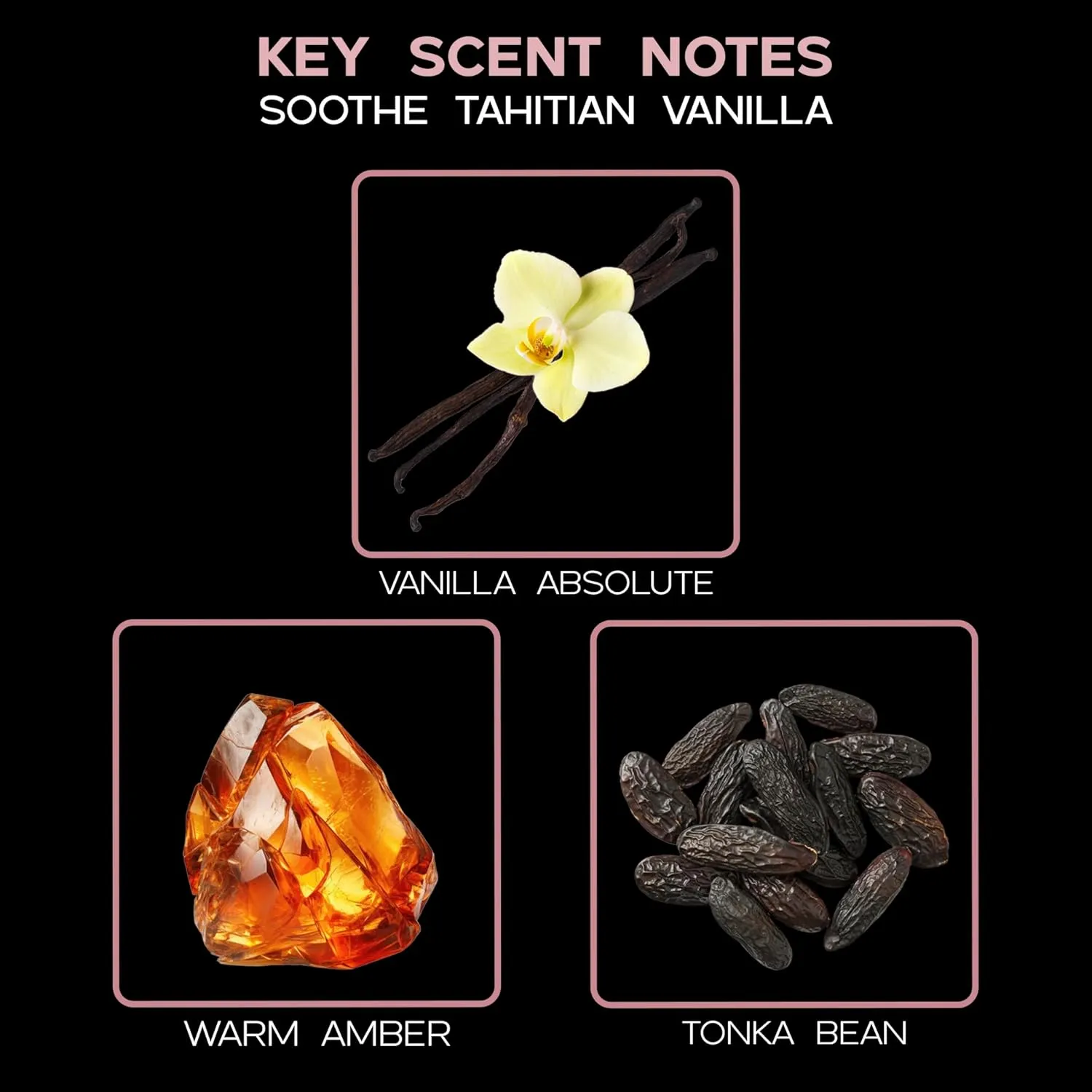 LOVSPA Tahitian Vanilla Reed Diffuser Set - Soothe by LOVSPA - Vanilla, Amber & Tonka Bean Fragrance Oil - Soothing Kitchen, Bedroom or Bath Scent