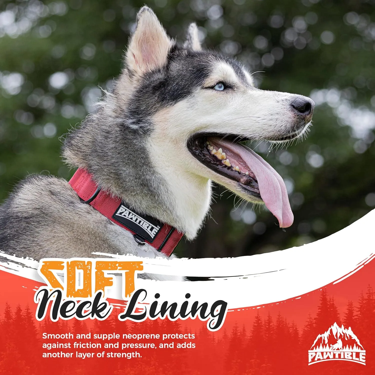 Medium Dog Collar Nylon with Heavy Duty Buckle, Soft Pad, 2 D-Rings For Dogs with Strong Pulling Power, Crimson