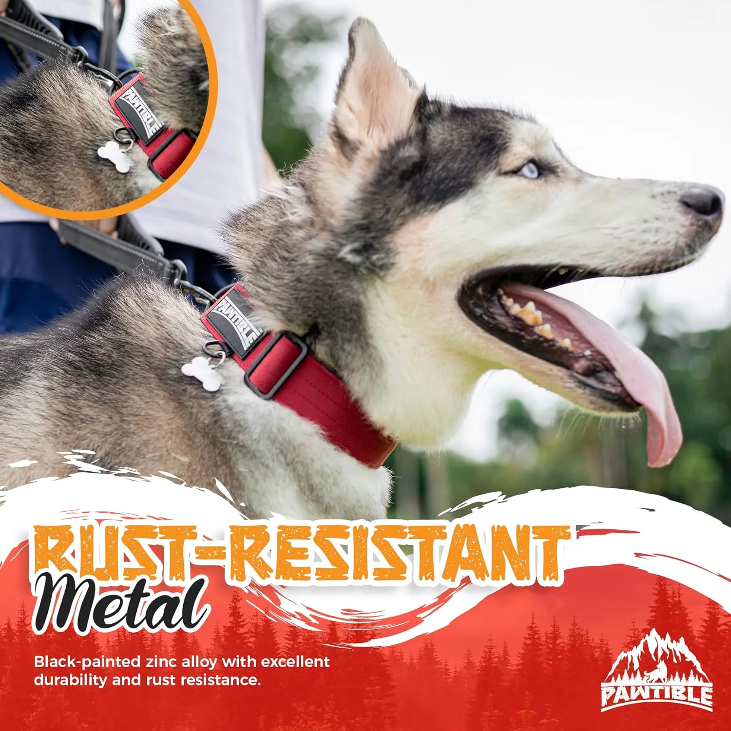 Medium Dog Collar Nylon with Heavy Duty Buckle, Soft Pad, 2 D-Rings For Dogs with Strong Pulling Power, Crimson