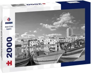 Noah Jigsaw Puzzle Panoramic View of The Forest with Colorful Fishing Boats in The Old Port of Bizerte. Tunisia, North Africa in Black White 2000 Pieces