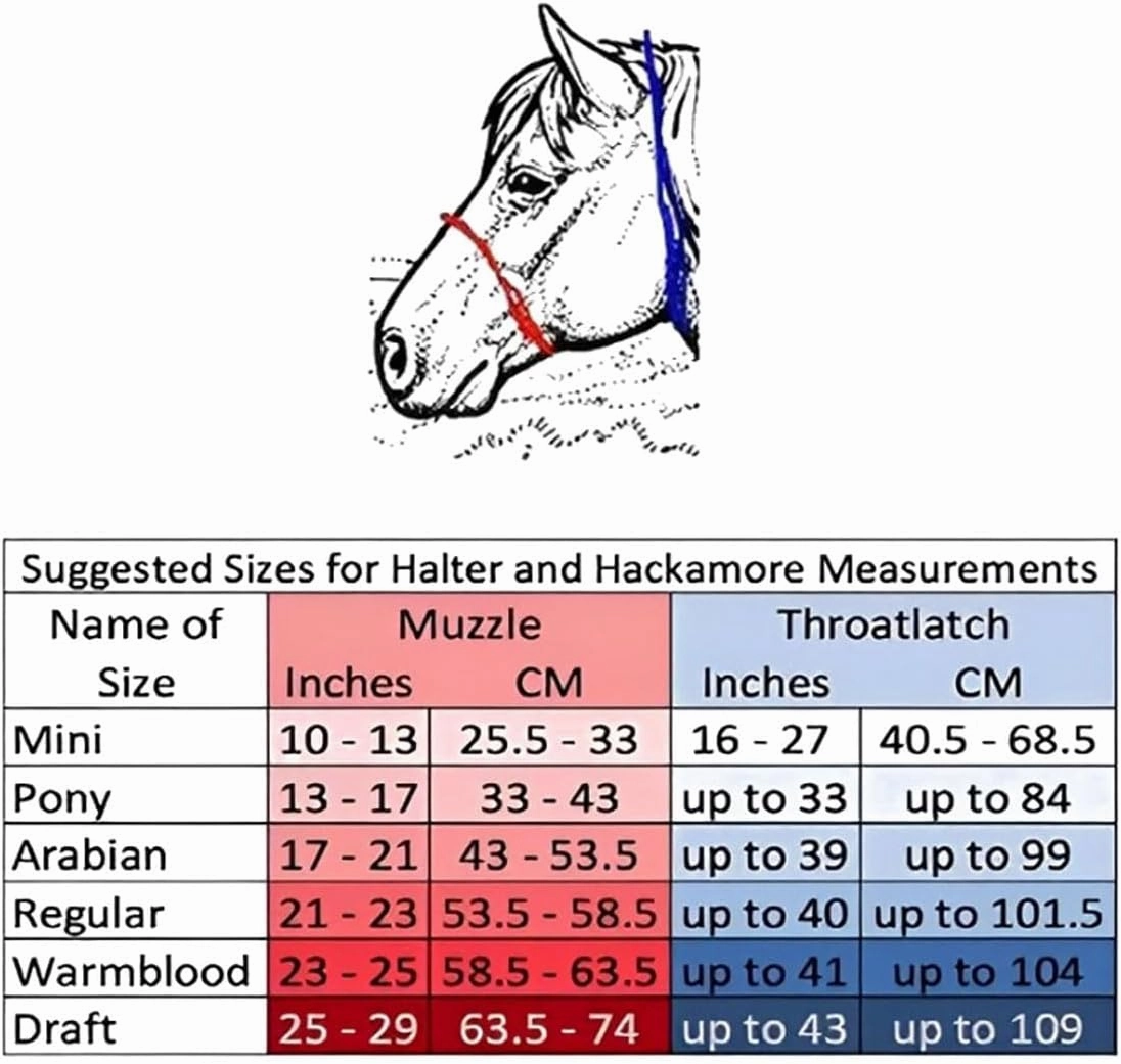 Parelli Horseman's Strong Lightweight Simple Knots Everyday Use UV Resistant Thin Smooth Yachting Braid Polyester Horse Rope Halter with Leather Poppers