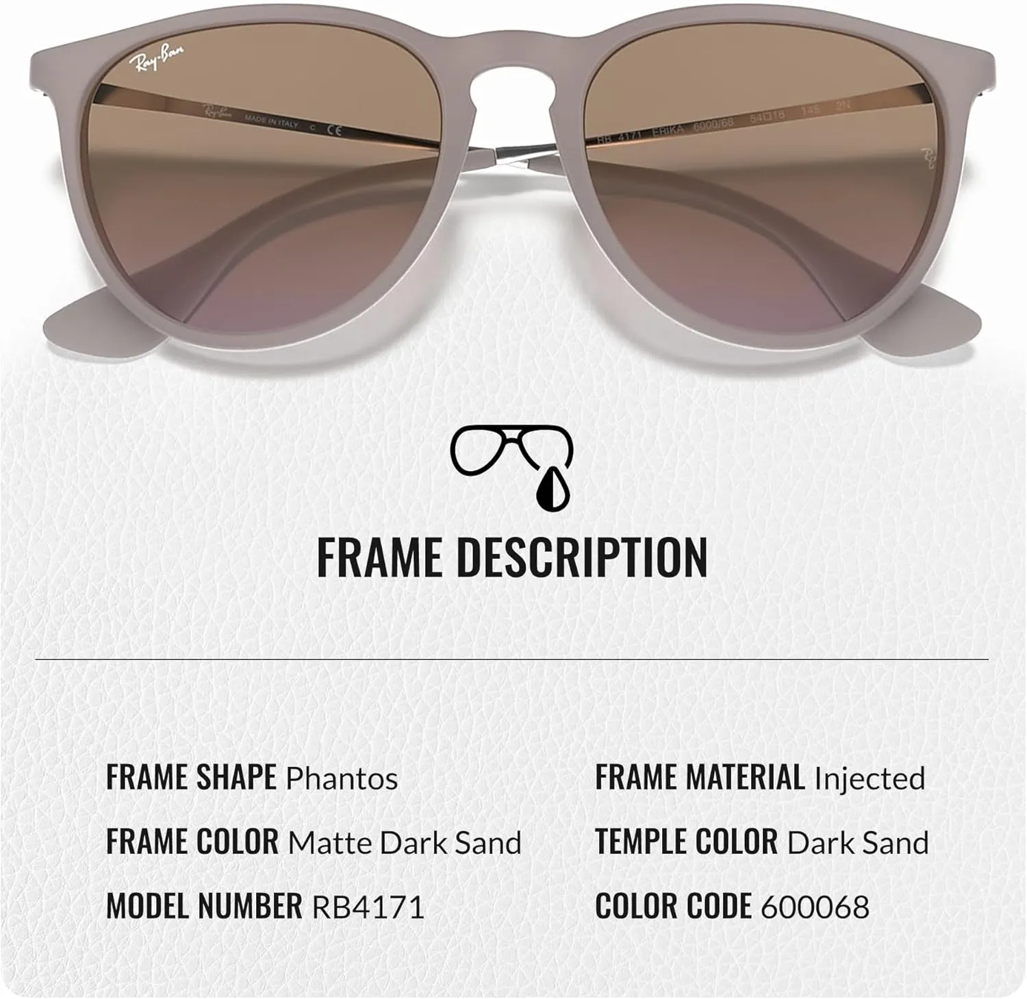 Ray-Ban RB4171 ERIKA Classic Phantos Shape Sunglasses With Eyewear Kit Bundle - High Bridge Fit - Retro Sunglasses