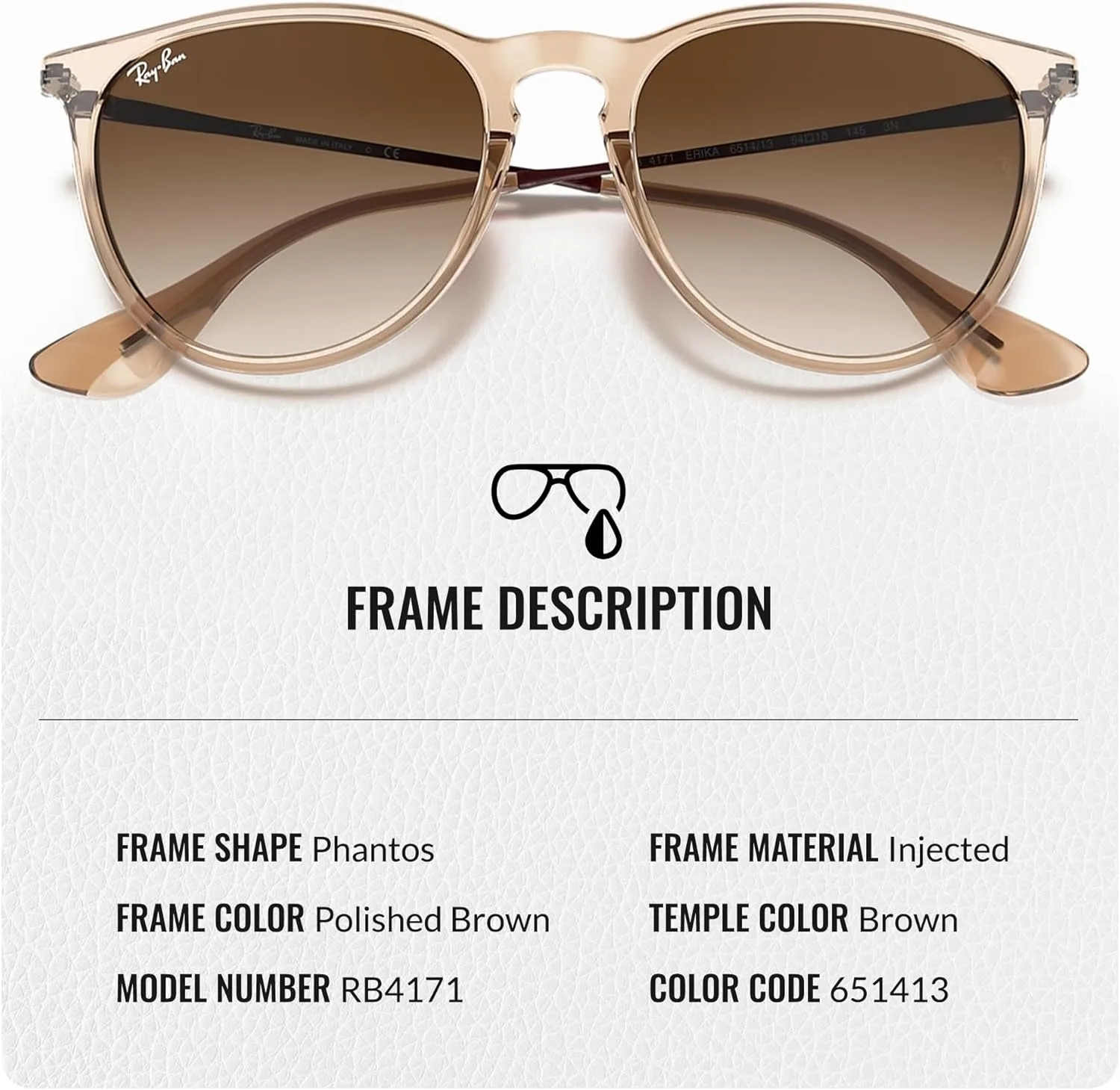 Ray-Ban RB4171 ERIKA Color Mix Phantos Shape Sunglasses With Eyewear Kit Bundle - High Bridge Fit - Retro Sunglasses