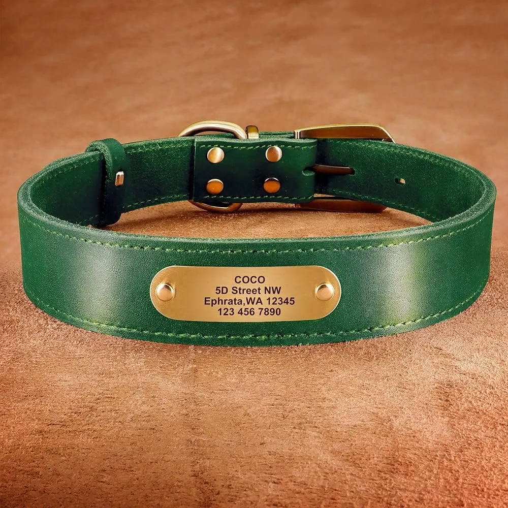 Real Leather Dog Collar Leash Set Personalized Genuine Leather Dog Pet Collars Leashes Custom for Small Medium Large Dog Pitbull Green Collar S