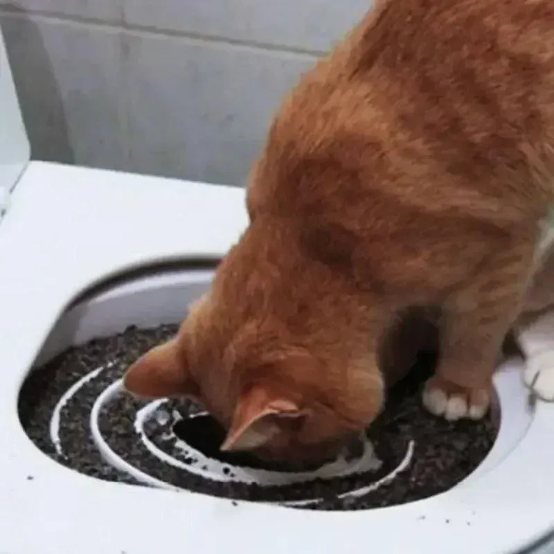 Reusable Cat Litter Trainer