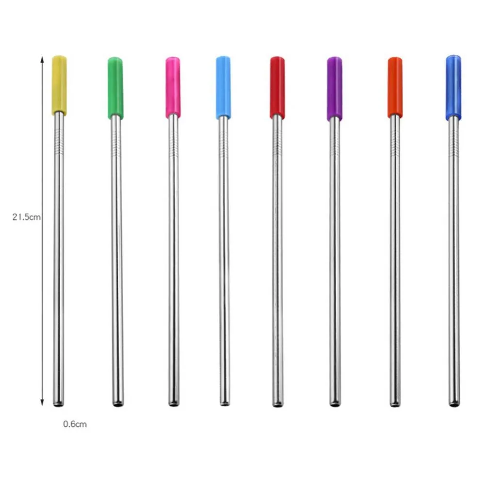 Reusable Straw Set