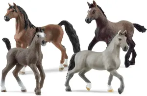 Schleich Horse Club - 4 PC Horse Toy Collector Playset - Detailed, Realistic Figurine Horses and Foals for Girls and Boys - Realistic Farm Animal Figure Set for Kids Ages 5  | 77572