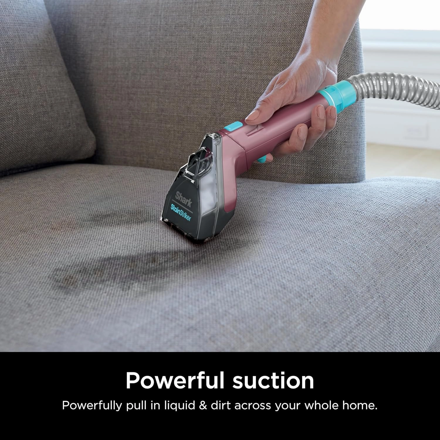 Shark Carpet Cleaner Machine, Portable Upholstery StainStriker, Spot, Odor & Stain Remover, 2 Carpet Cleaner Solutions, 3 Tools, Perfect for Pet Hair, Area Rugs, Couches, Burgundy, PX203BRN