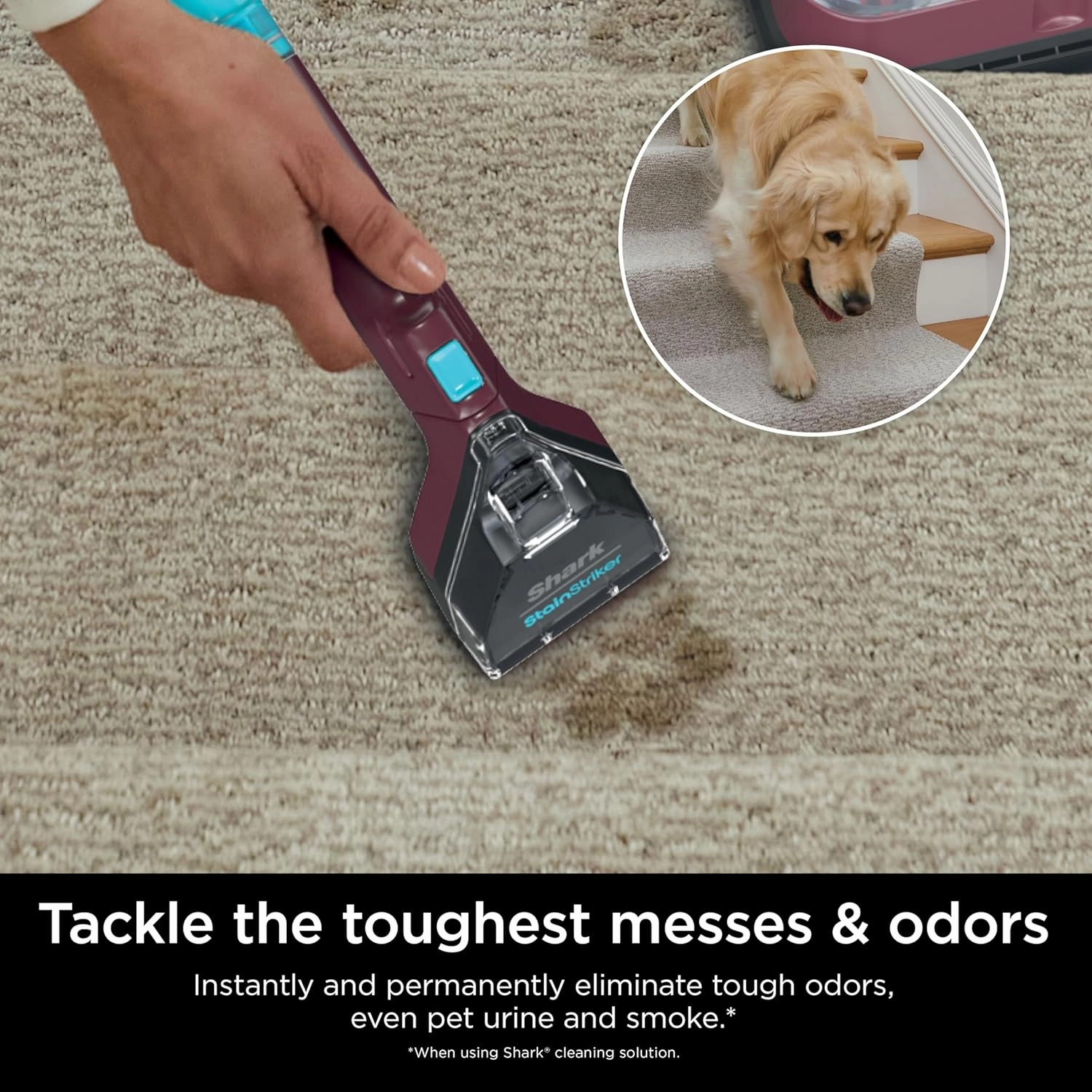 Shark Carpet Cleaner Machine, Portable Upholstery StainStriker, Spot, Odor & Stain Remover, 2 Carpet Cleaner Solutions, 3 Tools, Perfect for Pet Hair, Area Rugs, Couches, Burgundy, PX203BRN