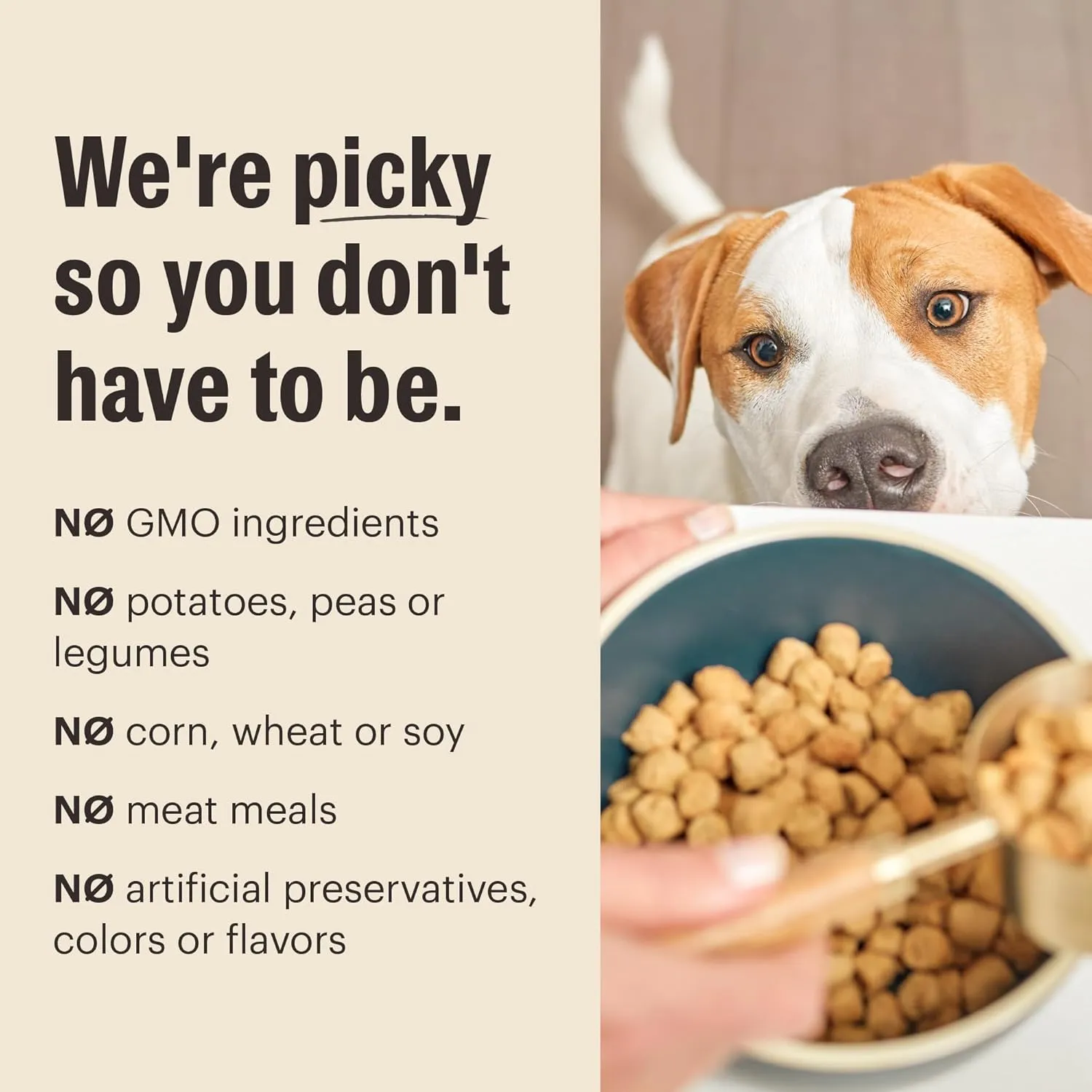 The Honest Kitchen Whole Food Clusters Puppy Whole Grain Chicken Dry Dog Food, 4 lb Bag