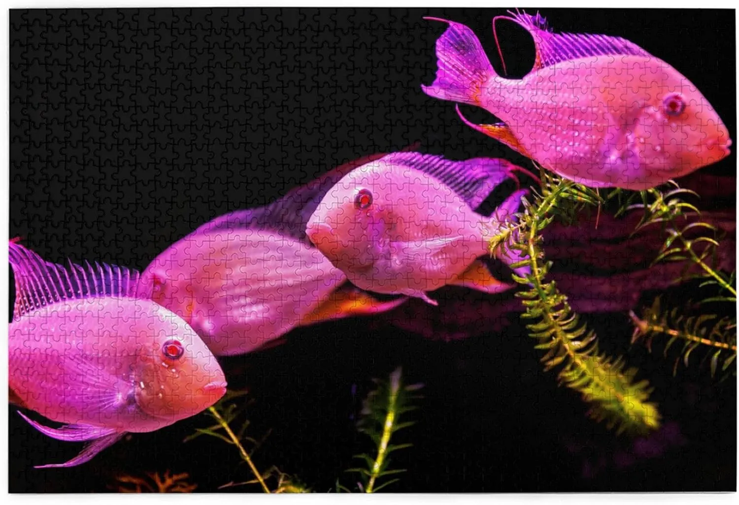 Wooden Puzzles Fish 1000 Piece Mother's Day Children's Day Exercise Patience Puzzle Game - Education Intellectual Puzzle Game Toys Gift